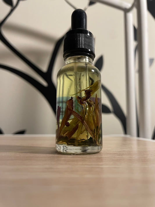 Fragrance Oil - Rizz