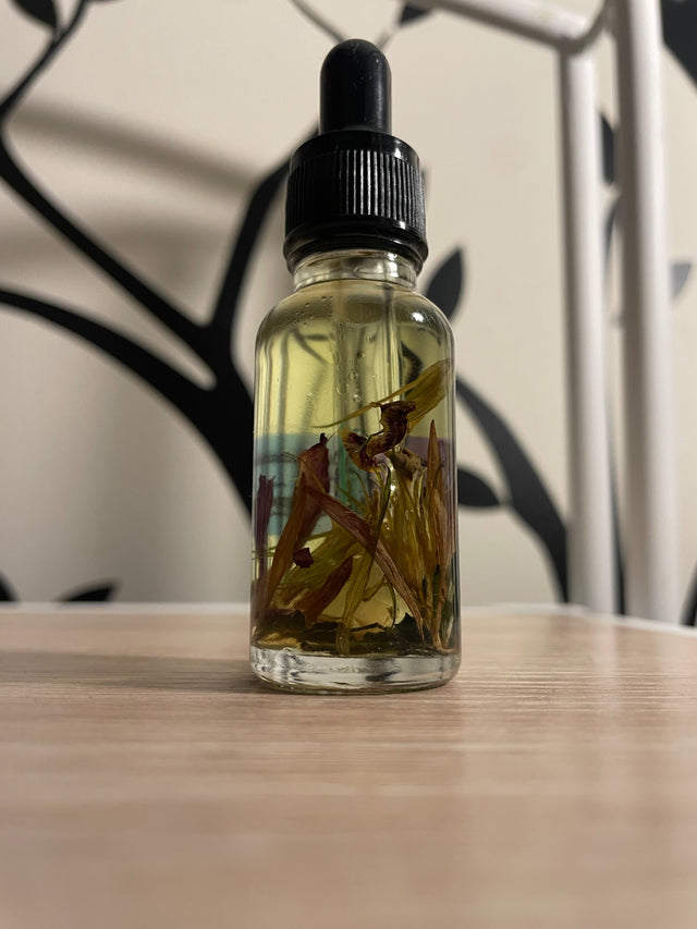 Fragrance Oil - Rizz