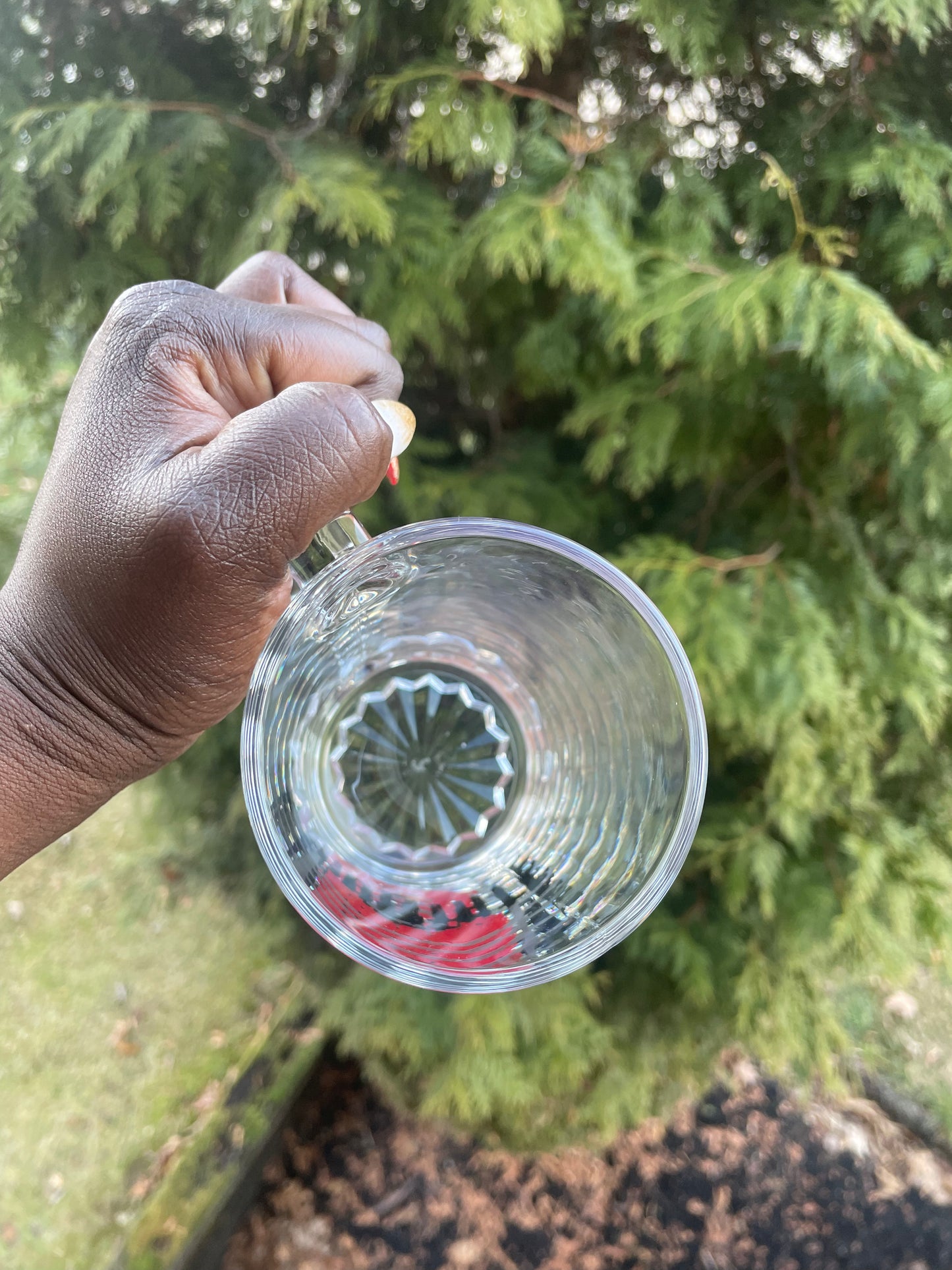 Ohio State Beer Glass