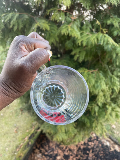 Ohio State Beer Glass